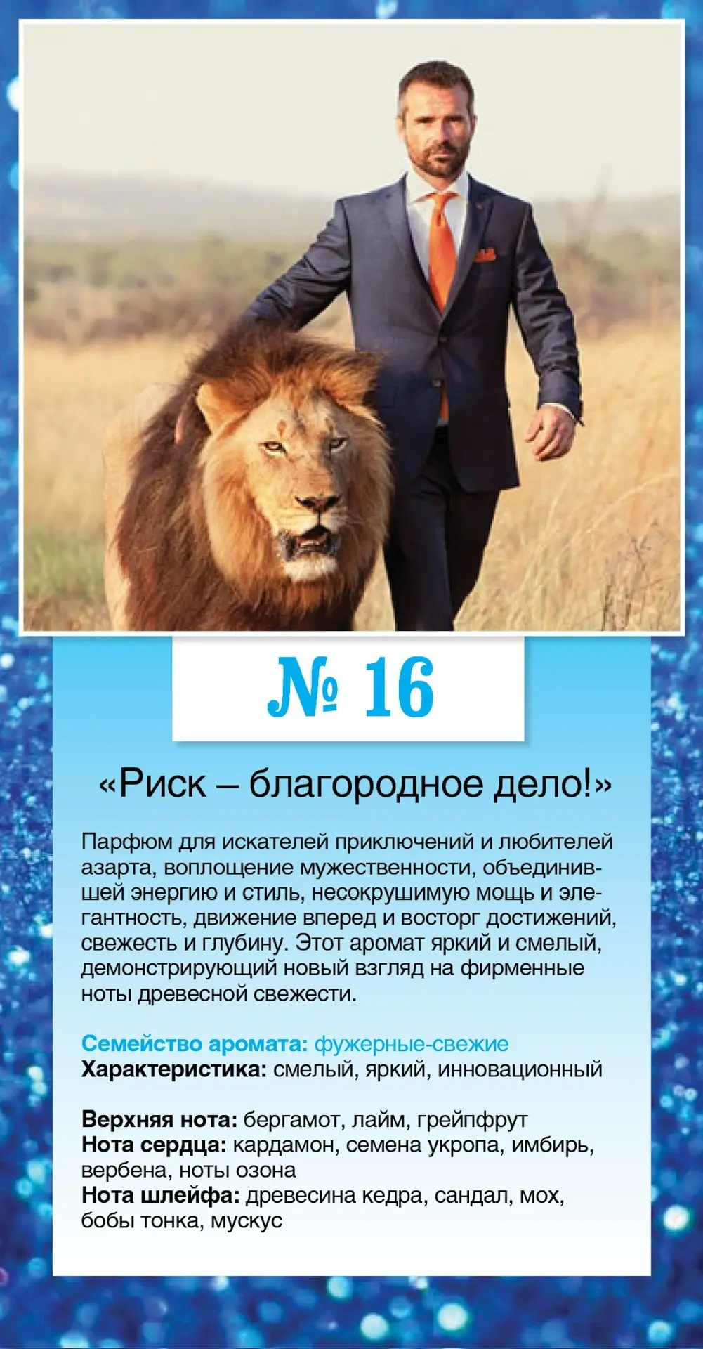 № 16 «Риск — благородное дело!»